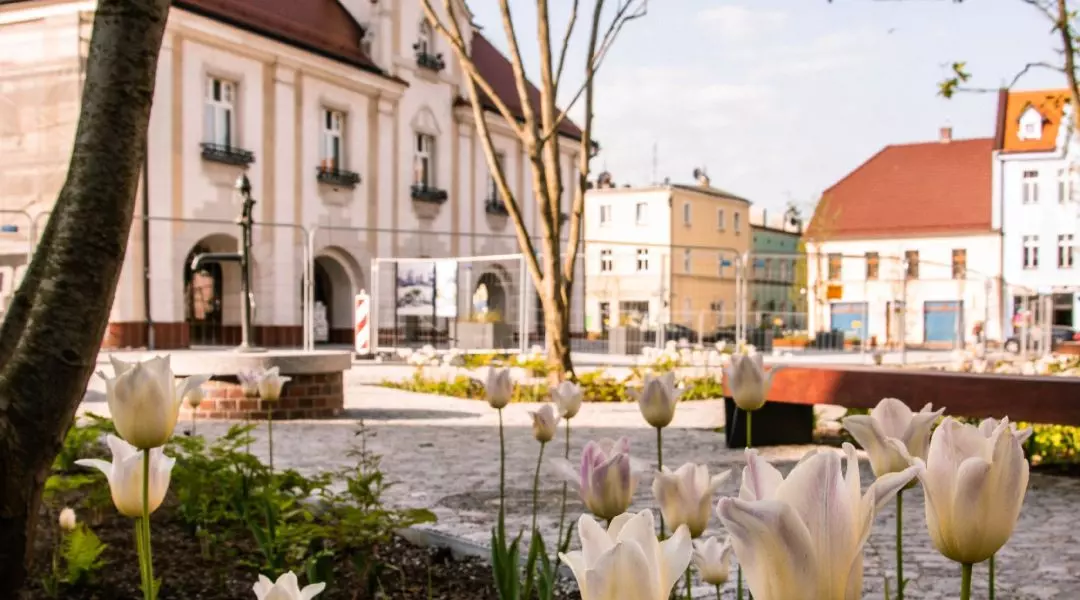 Grand Prix, nagroda ex aequo w kategorii Przestrzeń wspólna