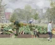 vegetable gardens