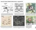 the evolution of the city's urban layout