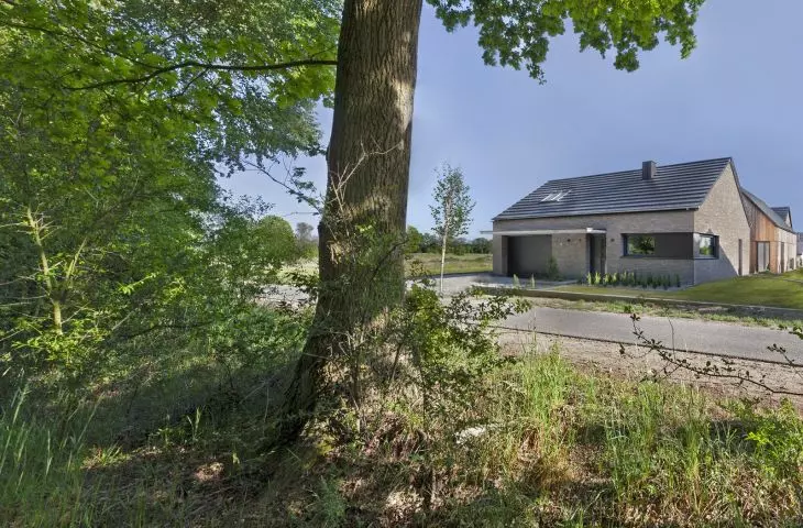 The house is surrounded by nature