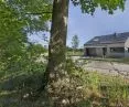 The house is surrounded by nature