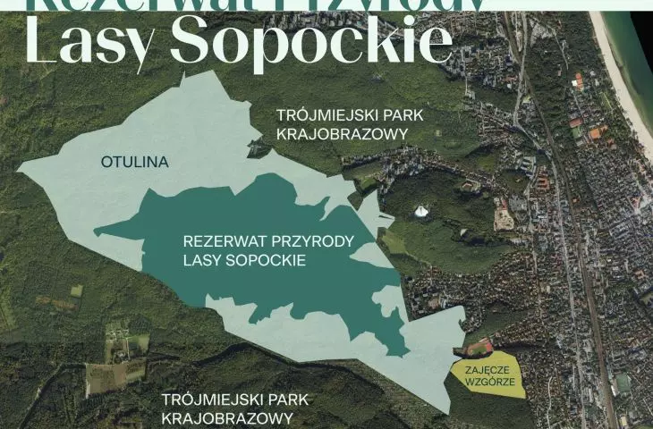 The boundaries of the new nature reserve