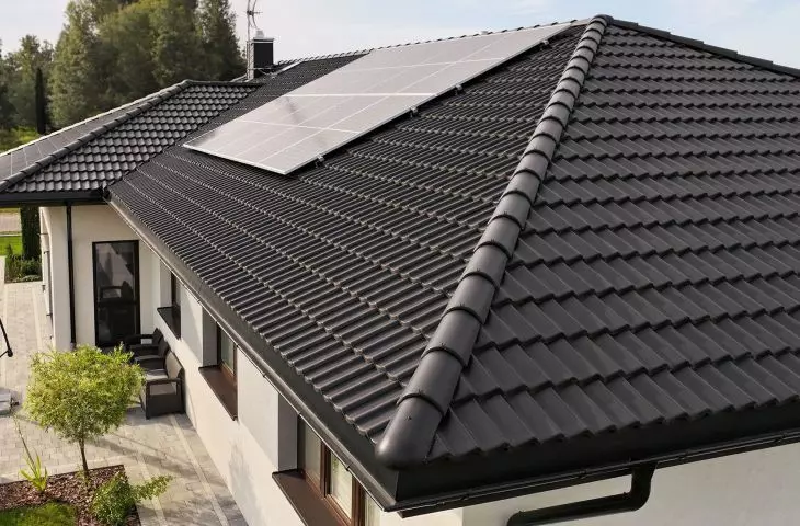 Holenderka płaska czy esówka – poznaj różnice