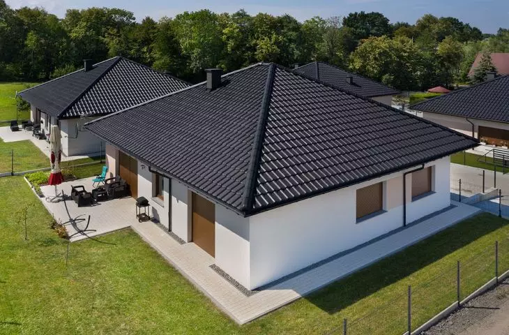 Holenderka płaska czy esówka – poznaj różnice