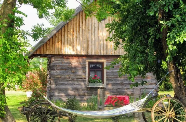 Studio Groszki