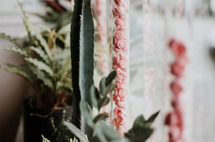 Pink meringues on display in the company of plants