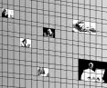 About the practice of the architectural profession in Poland