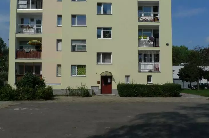 Estate of the Young