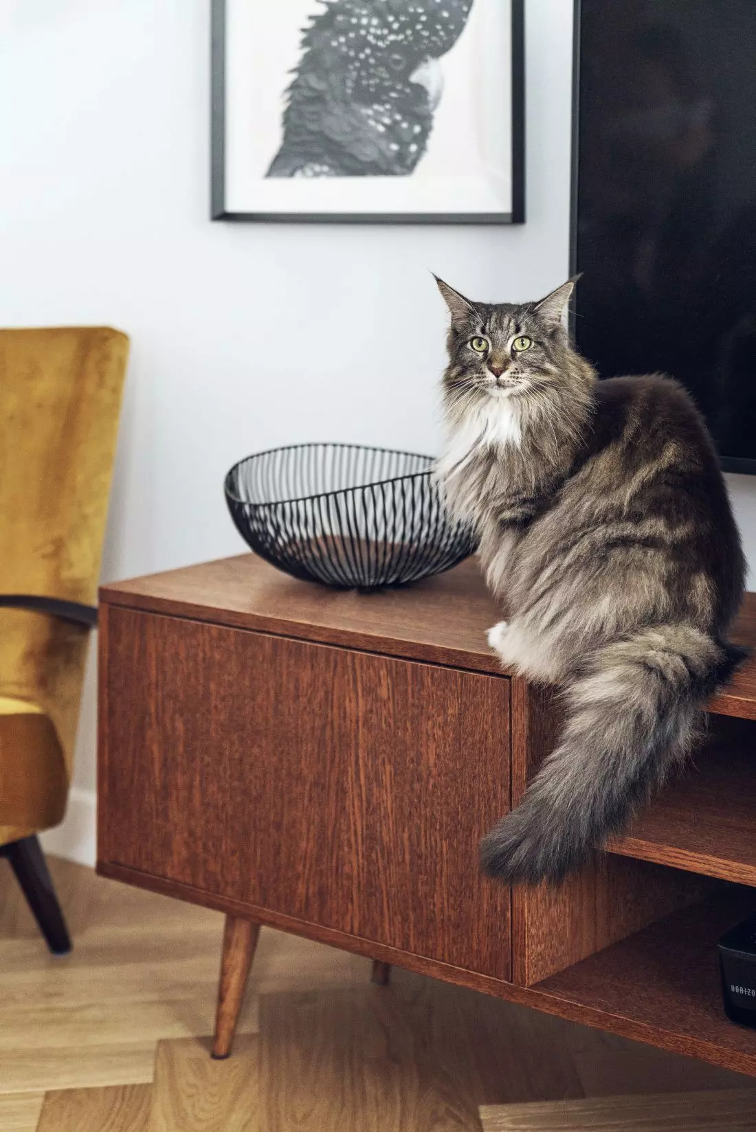 Modernistyczny apartament w Warszawie projektu luumo.
