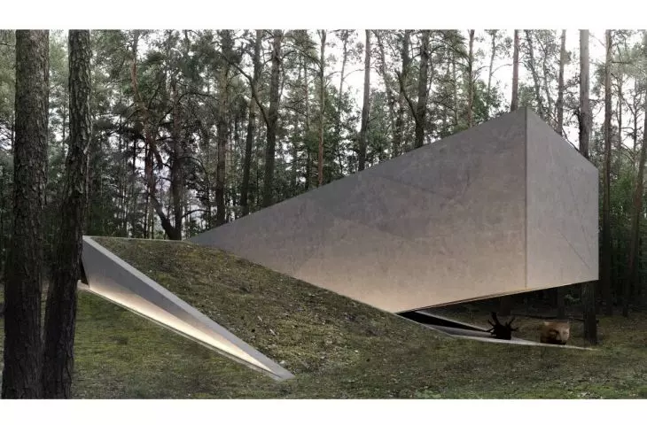 RE: JOSHUA TREE HOUSE, green roof