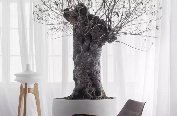 In the living room