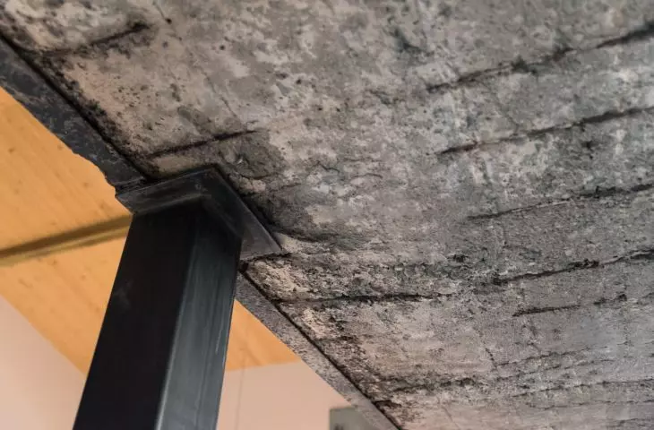 preserved steel elements