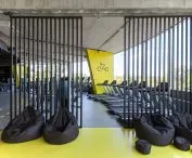 WF fitness