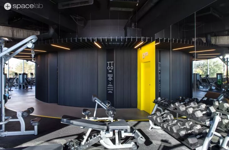 WF fitness