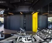 WF fitness