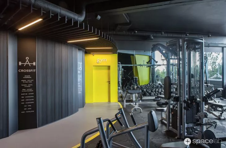 WF fitness