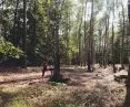 Surrounding the Wolf's Lair