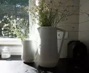 In the kitchen