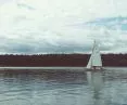 Guests of the Wolf Refuge can also swim on the lake
