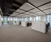 Open space preserved in white and gray tones