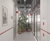 Wnętrze wypełnione jest zielenią