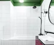 Bathroom with green ceiling