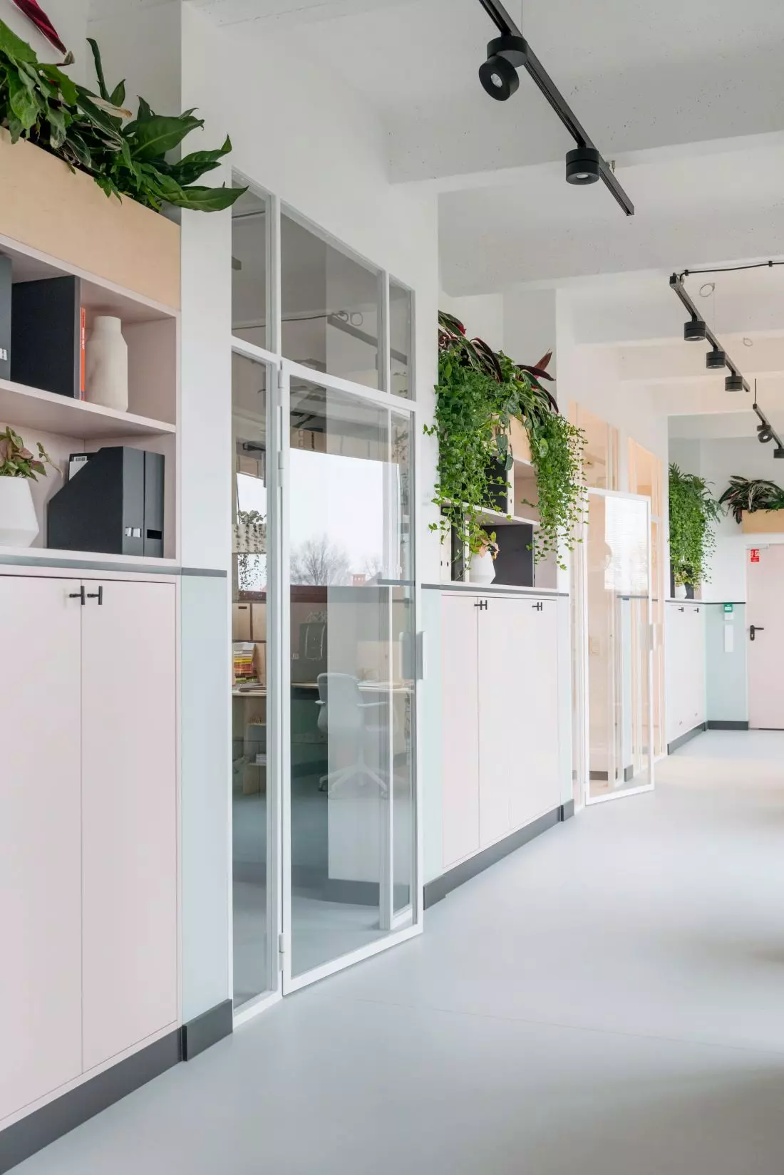 Hangar we Wrocławiu. Coworking wypełniony roślinami projektu pracowni Na antresoli