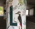 Wild animals in the city