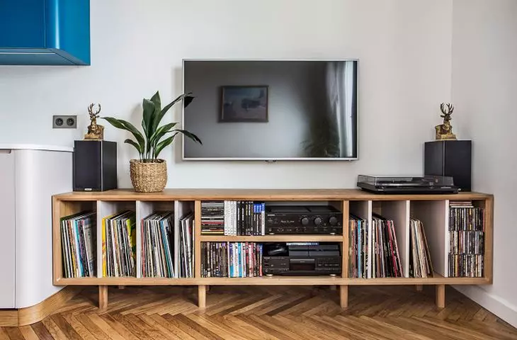 W szafce pod telewizorem zmieściły się wszystkie płyty winylowe