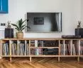 All the vinyl records fit in the cabinet under the TV