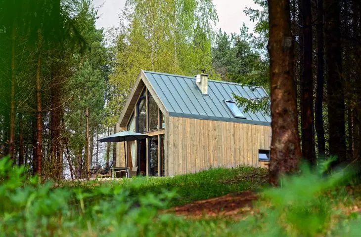 Sauerwald Pierwszy zza drzew