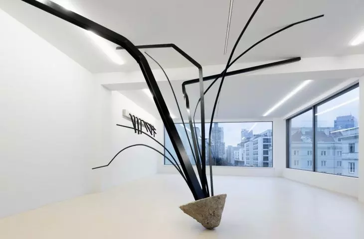 wystawa „Martwa natura” w Fundacji Galerii Foksal, Warszawa, 2015