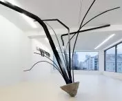 wystawa „Martwa natura” w Fundacji Galerii Foksal, Warszawa, 2015
