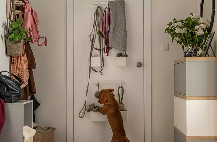 New door features
