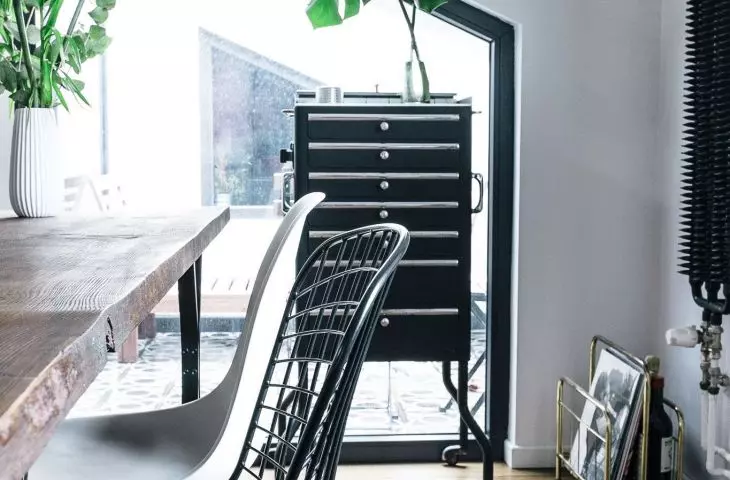 Greenery enlivens apartment space