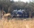 A forester's lodge from afar