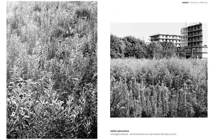 Primary greenery
