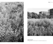 Primary greenery