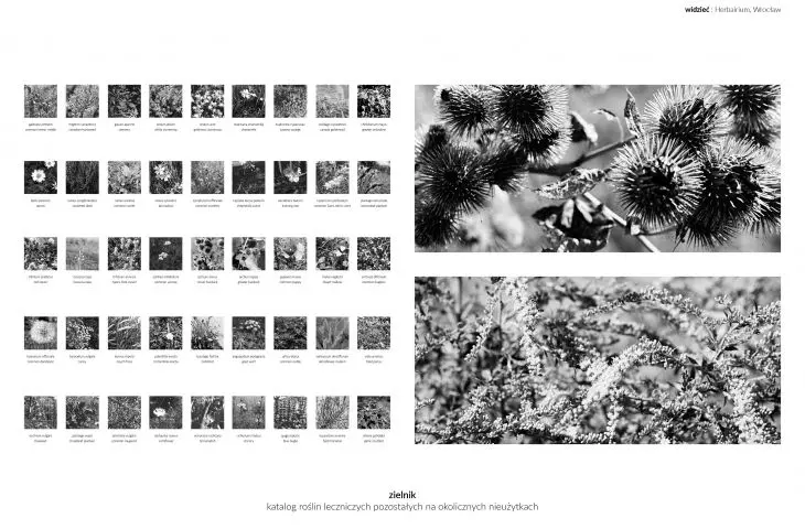 Herbarium - a catalog of medicinal plants