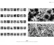 Herbarium - a catalog of medicinal plants