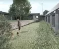Shelter for homeless animals, inner courtyard