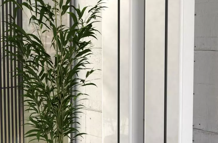 Balance Collection
