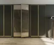 Elegant closet 