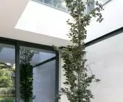 RE: LONG HOUSE, a place for vegetation