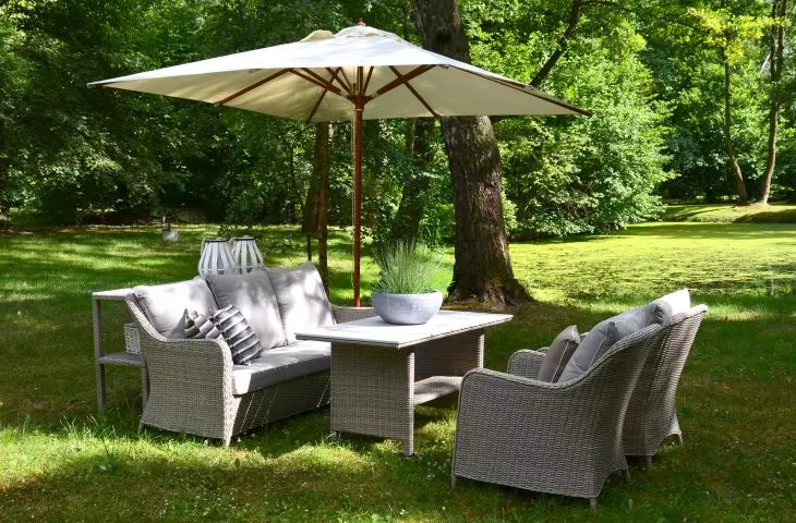 Summer in the garden