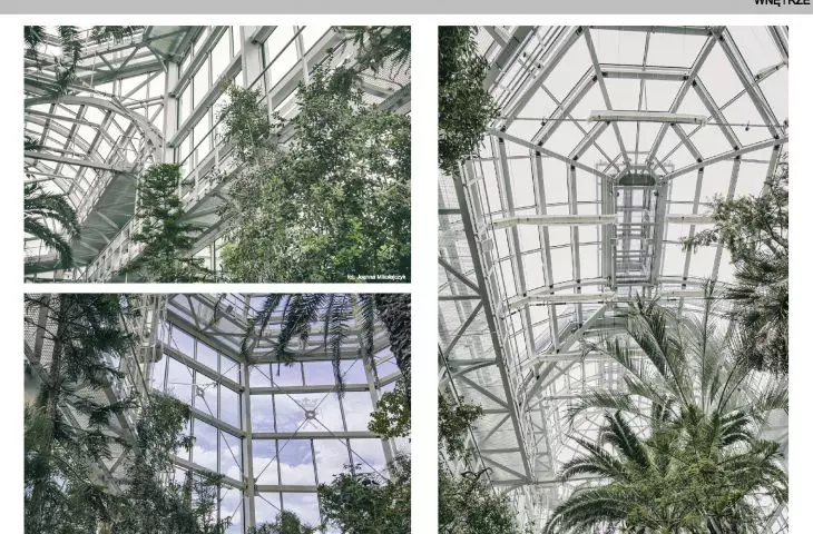 UP06-Projekt palmiarni w ogrodzie botanicznym UJ w Krakowie