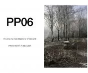 PP06-Polana na Sikorniku w Krakowie