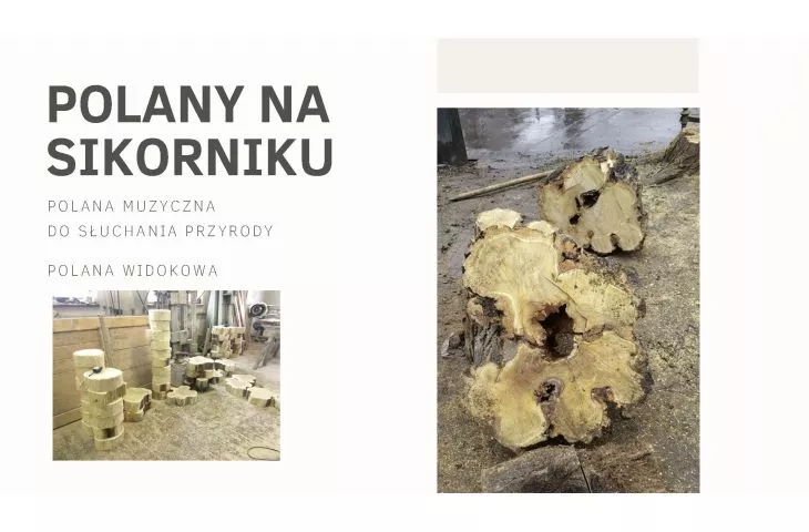 PP06-Polana na Sikorniku w Krakowie