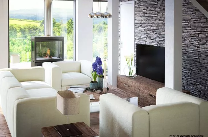 Projekt Euro Home, wizualizacja salonu