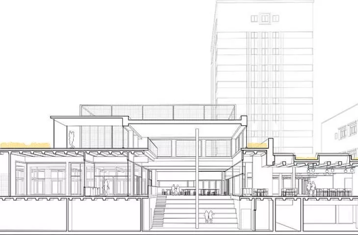 section